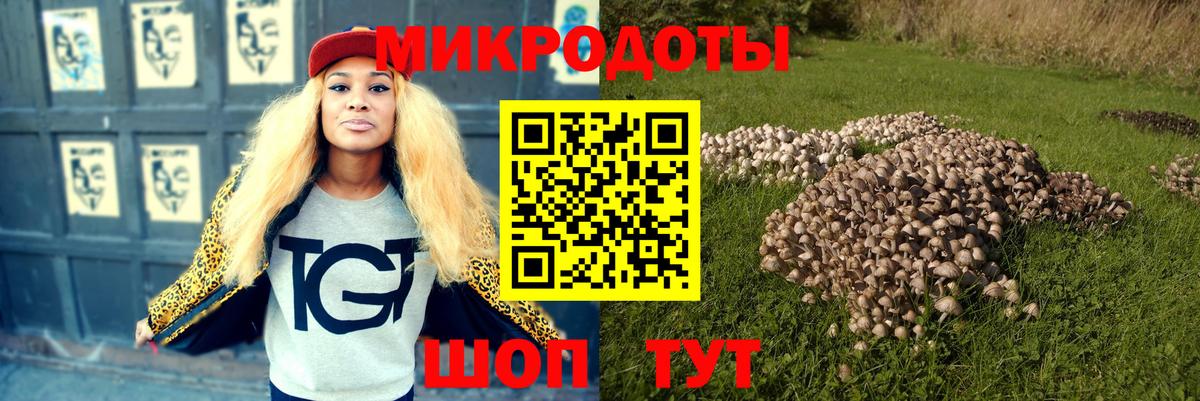 Псилоцибиновые грибы мицелий Лянтор